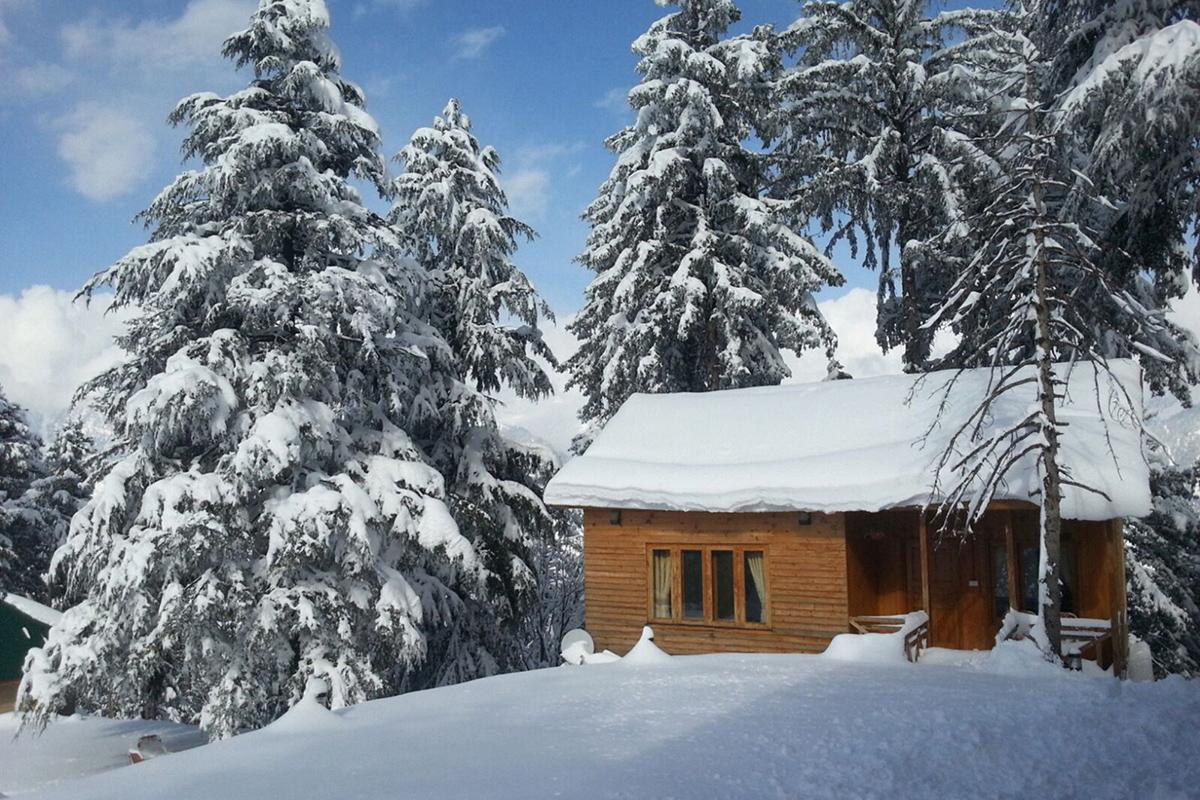 Hotel Arcadian Sprucewoods Shogran Exteriér fotografie