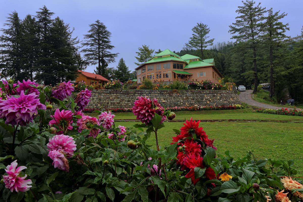 Hotel Arcadian Sprucewoods Shogran Exteriér fotografie