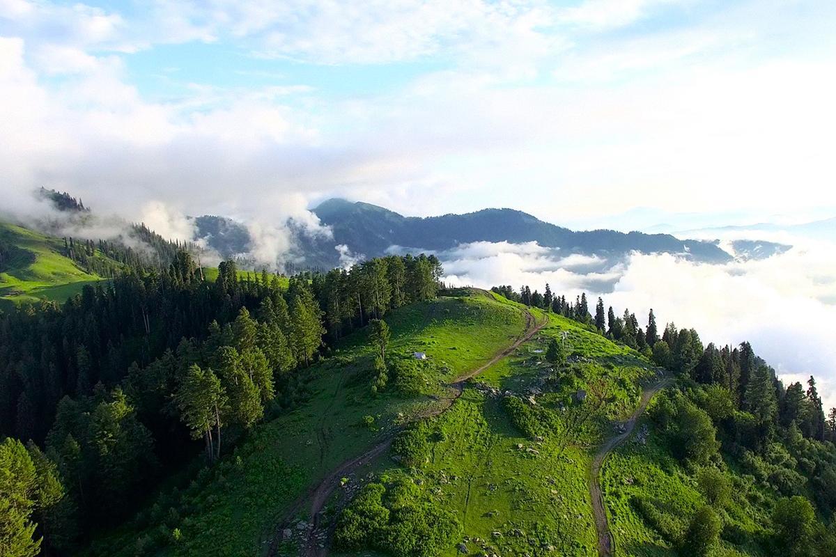 Hotel Arcadian Sprucewoods Shogran Exteriér fotografie